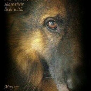 Meet your Posher, Darlene